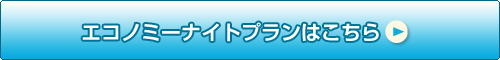 エコノミーナイトプランはこちら
